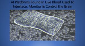 Neurotoxic and Systemic Implications of Microplastics and Nanoparticles: A Path Towards Environmental and Biological Remediation