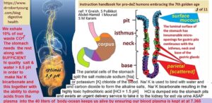 Holistic Solutions for a Toxic World: A Review of Strategies to Address Chemical, Electromagnetic, and Biological Stressors